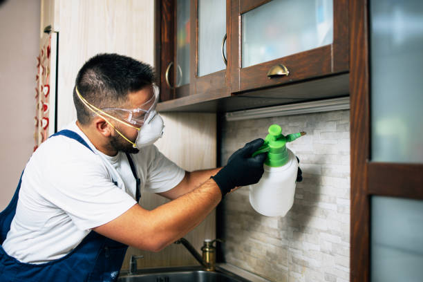 Best Pest Prevention Services  in Naples Park, FL
