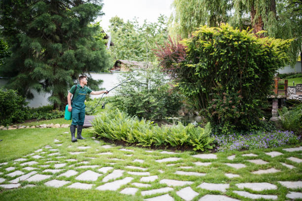 Professional Pest Control in Naples Park, FL