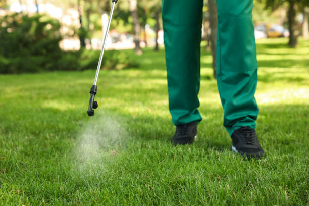 Best Residential Pest Control  in Naples Park, FL