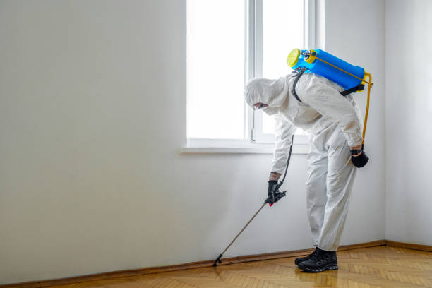 Trusted Naples Park, FL Pest Control Experts
