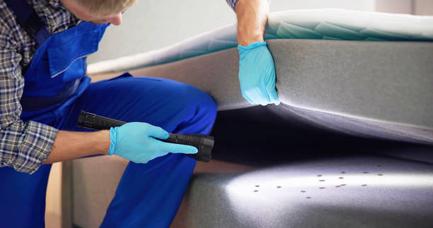 Best Best Pest Control Companies  in Naples Park, FL