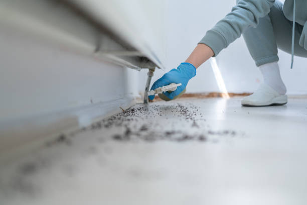 Best Bed Bug Extermination  in Naples Park, FL