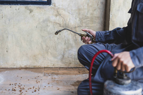 Best Wasp Removal Services  in Naples Park, FL